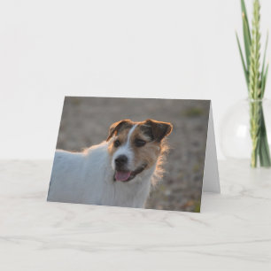 Cartes Pour Fêtes Annuelles Forme de Valentine le chien