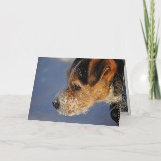 Cartes Pour Fêtes Annuelles Forme de Valentine le chien