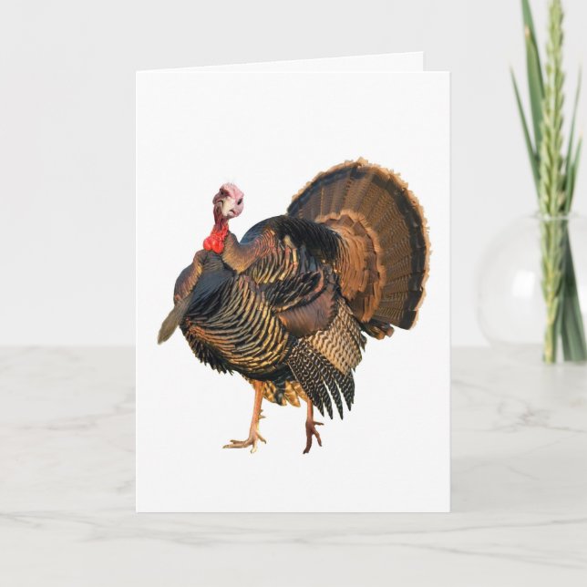 Cartes Pour Fêtes Annuelles Fowl (Devant)