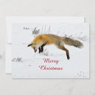 Cartes Pour Fêtes Annuelles Fox Jumping Neige Photo Appartement de Noël