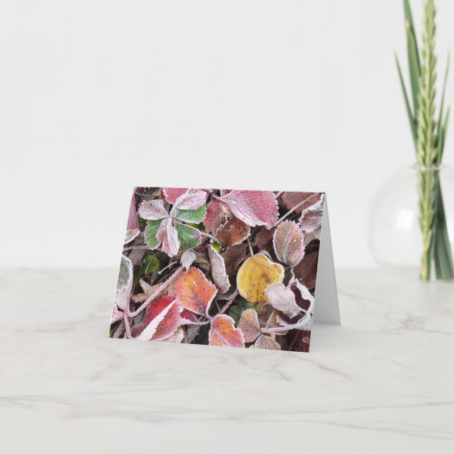 Cartes Pour Fêtes Annuelles Fraises congelées (Devant)