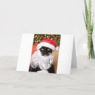 Cartes Pour Fêtes Annuelles Franny Claus Père Noël triste Kitty