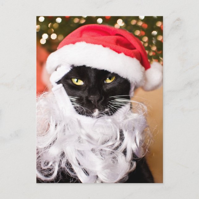 Cartes Pour Fêtes Annuelles Franny Claus Sad Père Noël Kitty (Devant)