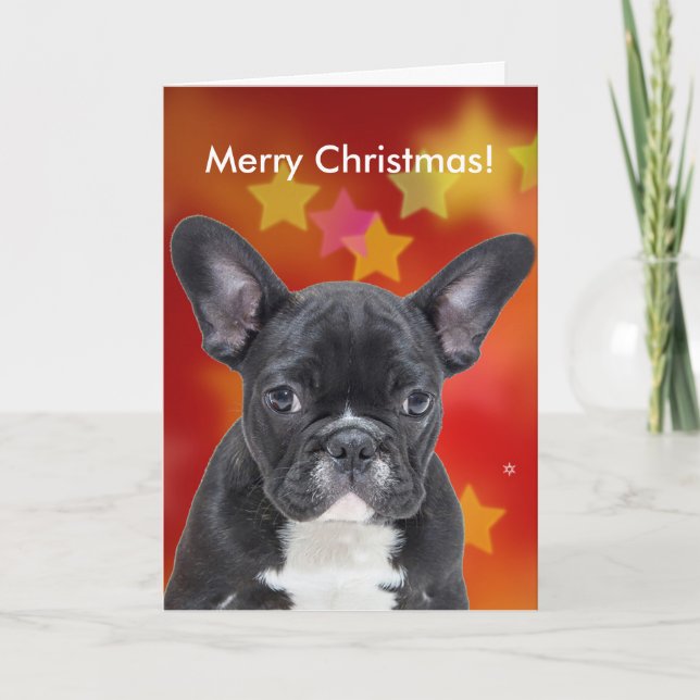 Cartes Pour Fêtes Annuelles French Bulldog Joyeux Noël Stars Card (Devant)