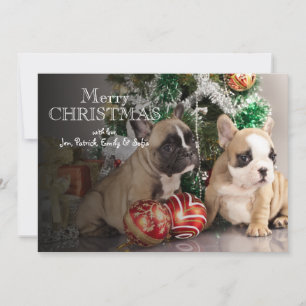 Cartes Pour Fêtes Annuelles French bulldog puppy and Christmas gifts