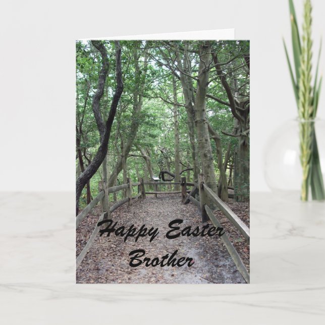 Cartes Pour Fêtes Annuelles Frère heureux de Pâques (Devant)
