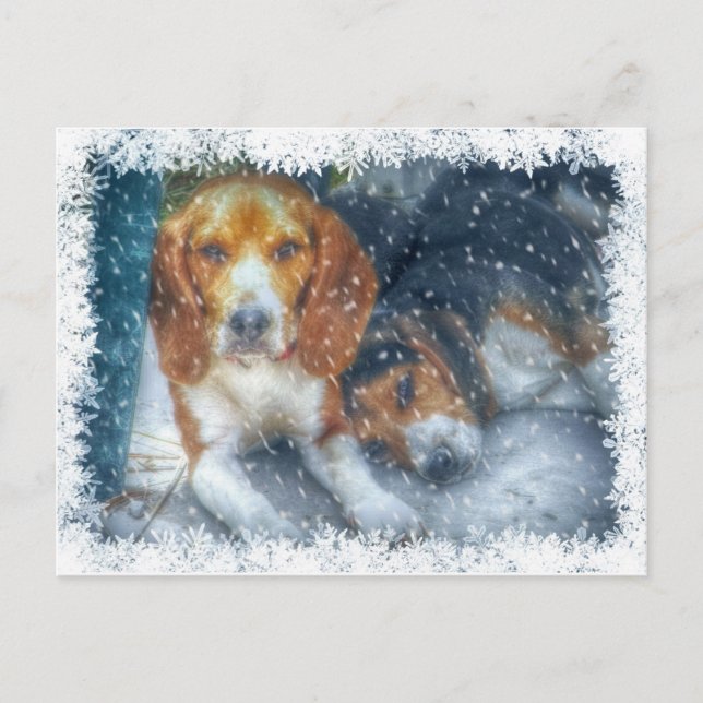 Cartes Pour Fêtes Annuelles Frères de Noël (Devant)