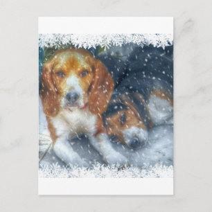 Cartes Pour Fêtes Annuelles Frères de Noël