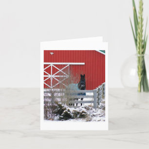 Cartes Pour Fêtes Annuelles Frésilien dans la neige