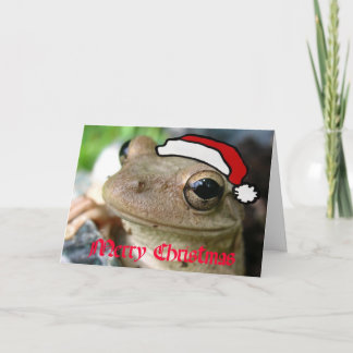 Cartes Pour Fêtes Annuelles Froggy de Joyeux Noël