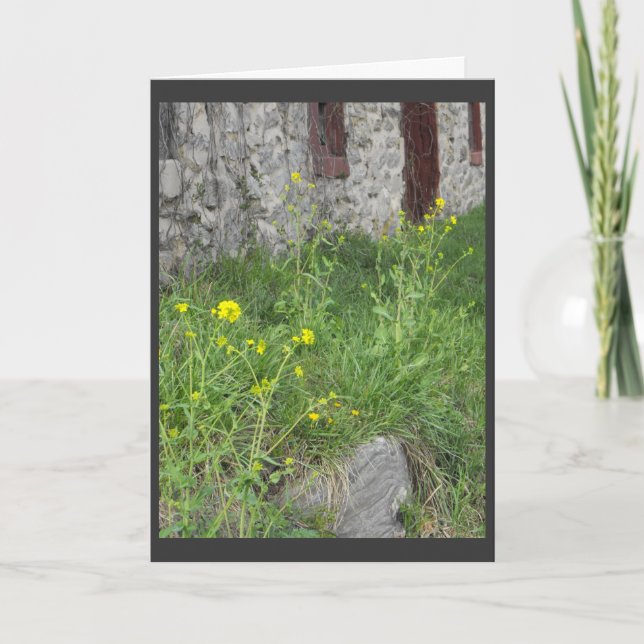 Cartes Pour Fêtes Annuelles . .from le parent. 3 (Devant)