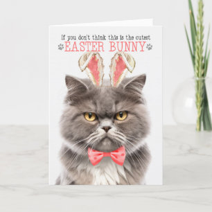 Cartes Pour Fêtes Annuelles Fumer Chat Perse Cutest Bunny Bunny Kitty Puns