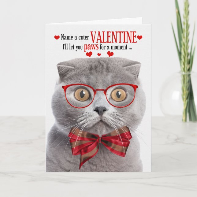 Cartes Pour Fêtes Annuelles Fumer écossais Panier Valentine Humour Feline (Devant)