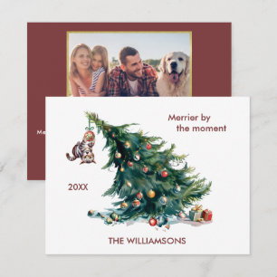 Cartes Pour Fêtes Annuelles Fun Christmas Tree Dangereux Photo de chat