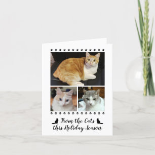 Cartes Pour Fêtes Annuelles Funky 3 Script Photo De Chien De Chat Animaux De C