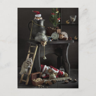 Cartes Pour Fêtes Annuelles Funny