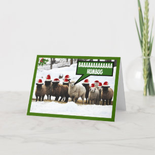 Cartes Pour Fêtes Annuelles Funny Bah Humbug