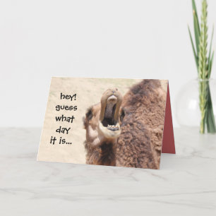 Cartes Pour Fêtes Annuelles Funny Camel Hump Day Easter Card (rose)
