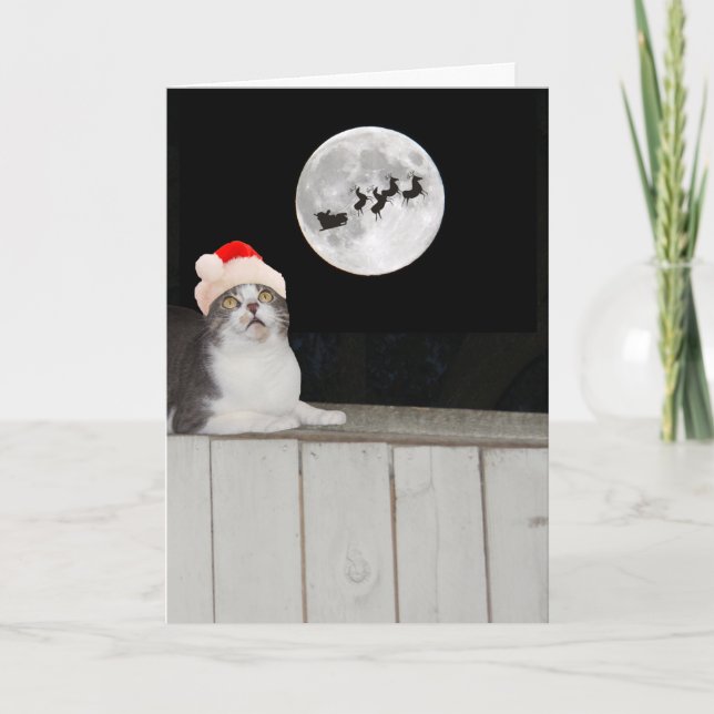 Cartes Pour Fêtes Annuelles Funny Cat Sees Père Noël (Devant)