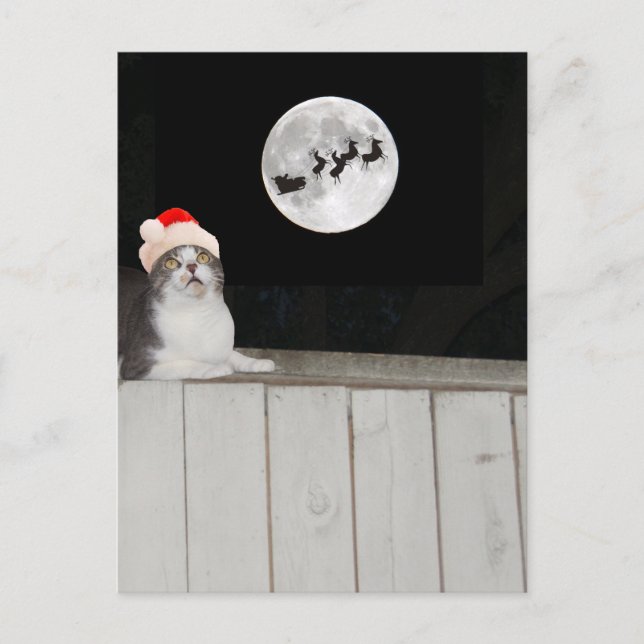 Cartes Pour Fêtes Annuelles Funny Cat Sees Père Noël (Devant)
