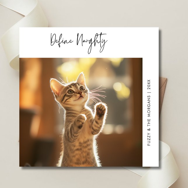 Cartes Pour Fêtes Annuelles Funny Chat Photo Définir Naughty Christmas Chien a (Créateur téléchargé)