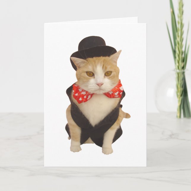 Cartes Pour Fêtes Annuelles Funny Chat Valentine (Devant)