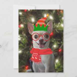 Cartes Pour Fêtes Annuelles Funny Chihuahua Chien animal de compagnie Noël