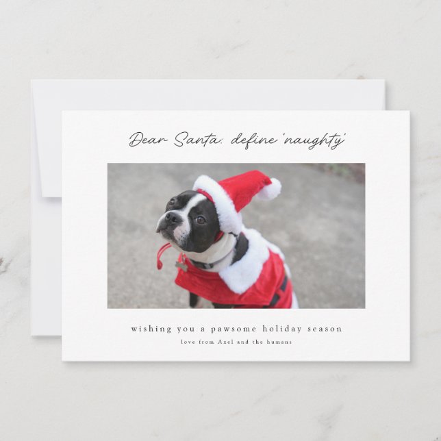 Cartes Pour Fêtes Annuelles Funny & Cute Define Naughty Dog Holiday Card (Devant)