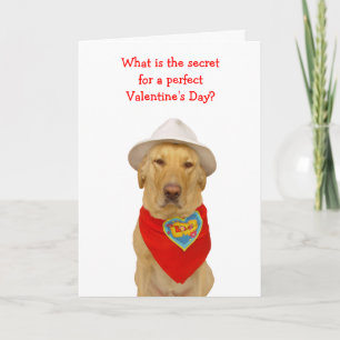 Cartes Pour Fêtes Annuelles Funny Dog