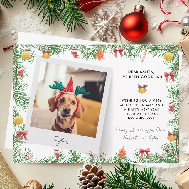 Cartes Pour Fêtes Annuelles Funny Festive animal de compagnie photo chien pers (Funny Festive Pet Photo Dog Custom Christmas Holiday Card)