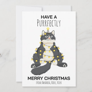 Cartes Pour Fêtes Annuelles Funny Festive Christmas Cat Minimal Animal Lover