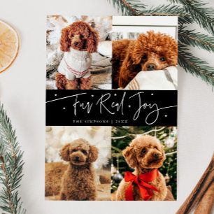 Cartes Pour Fêtes Annuelles Funny Fur Real Joy Chien Photo Black Christmas