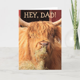 Cartes Pour Fêtes Annuelles Funny Highland Fête des pères de bétail