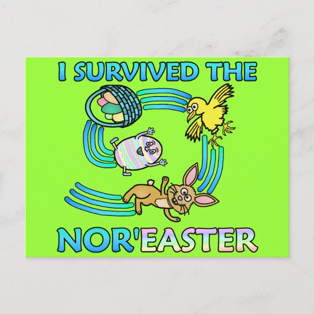 Cartes Pour Fêtes Annuelles Funny I Survive the Nor'Easter (Devant)