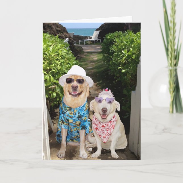 Cartes Pour Fêtes Annuelles Funny Lab/Chien Valentine (Devant)