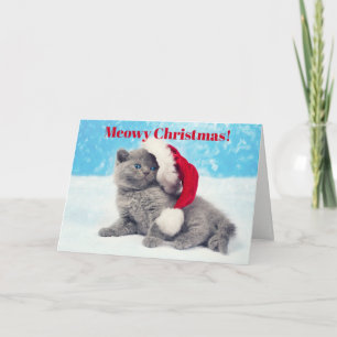 Cartes Pour Fêtes Annuelles Funny Meowy Christmas Kitten Card 2