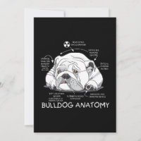 Funny mignon Français Bulldog Anatomie Biologie du