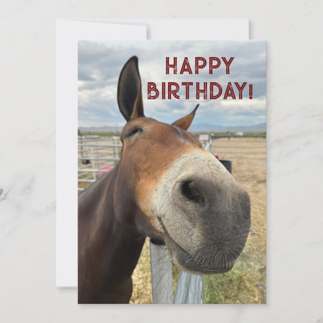 Cartes Pour Fêtes Annuelles FUNNY Mule Anniversaire Animal Card Real Ears (Devant)