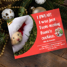 Funny pet Hamster Photo Christmas Card
