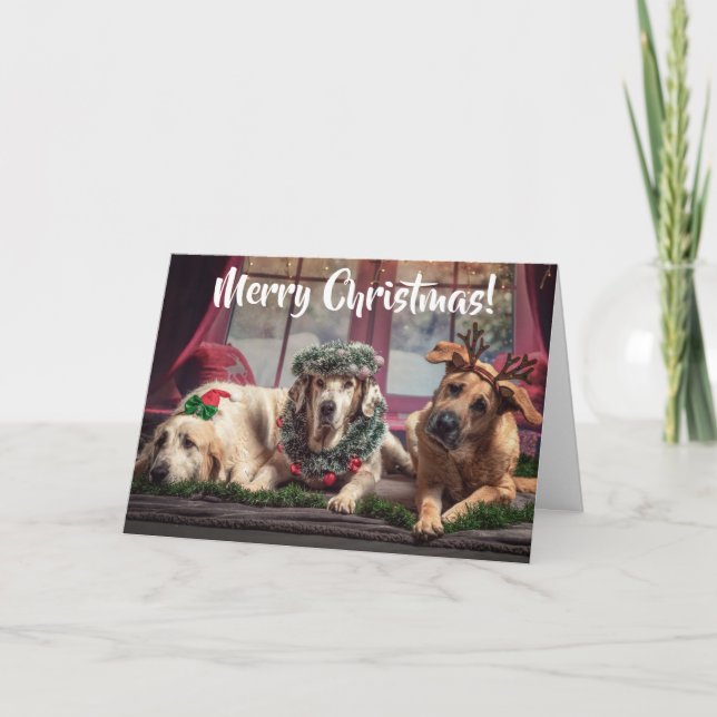 Cartes Pour Fêtes Annuelles Funny Photo Dogs in Christmas Antlers and Headwear (Devant)