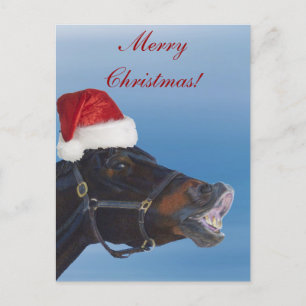 Cartes Pour Fêtes Annuelles Funny Pony Merry Christmas