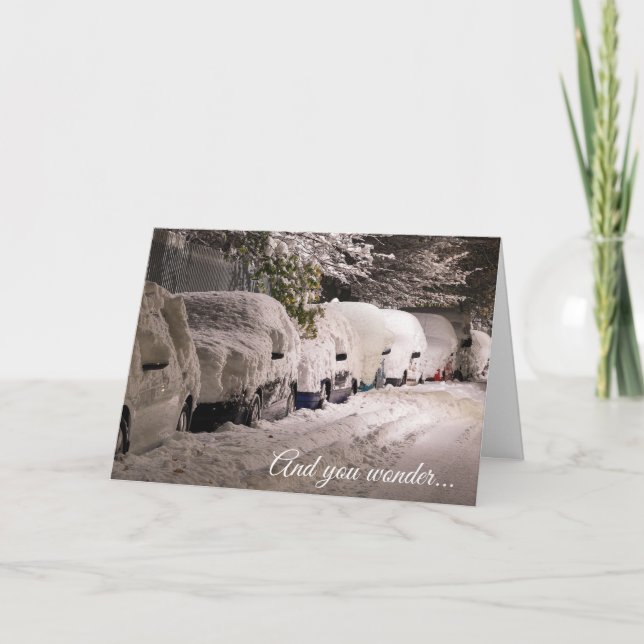 Cartes Pour Fêtes Annuelles Funny Snowbird Christmas Card (Devant)