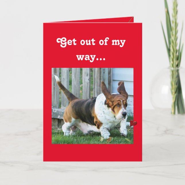 Cartes Pour Fêtes Annuelles Funny Valentine avec Basset Hound et Coeurs (Devant)