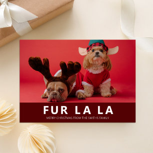 Cartes Pour Fêtes Annuelles Fur La Red Modern Animal Photo de Noël