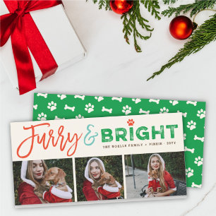 Cartes Pour Fêtes Annuelles Furry & Bright Typography Amoureux des chiens 3 Ph