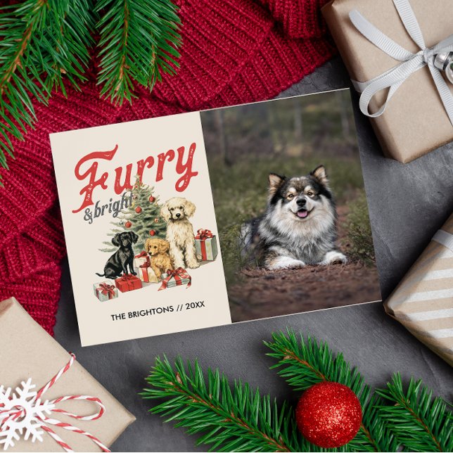 CARTES POUR FÊTES ANNUELLES FURRY ET BRIGHT JOYEUX NOËL POITRINE POITRINE FURB (furry and bright pet themed holiday photo postcard with custom message and return address)