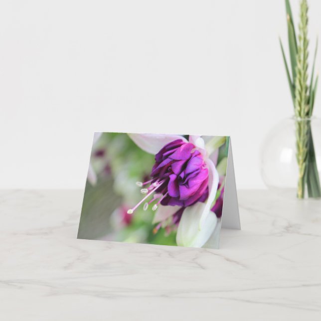 Cartes Pour Fêtes Annuelles Fushia II à peine pourpre (Devant)