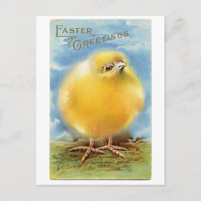Cartes Pour Fêtes Annuelles Fuzzy Chick (Devant)