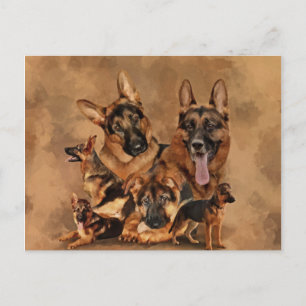 Cartes Pour Fêtes Annuelles German Shepherd Dog