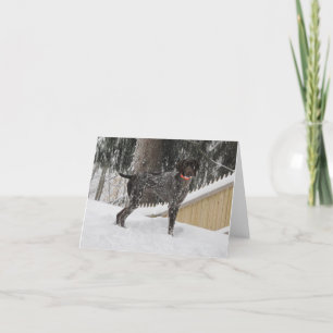 Cartes Pour Fêtes Annuelles German Shorthred Pointer
